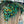 Load image into Gallery viewer, Green trash pop up foils